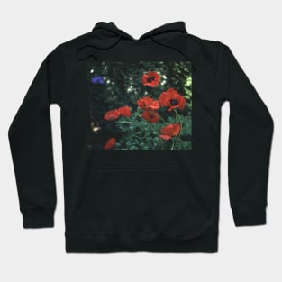 Poppies Hoodie